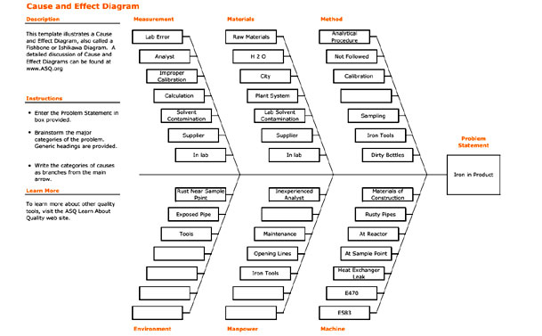 Risk & Issue Management